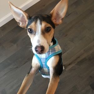 Meet your Posher, Megan